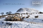 Slemish Sheep - Christ died for our sins - Scripture Text Wall Art